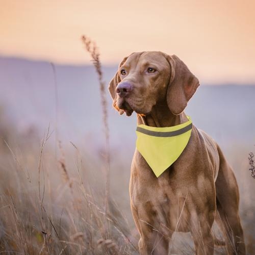 Dieren Halsdoek-Halsband Bipols geel